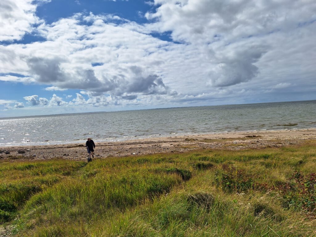 Ein Naturstrand an der Nordsee, im Vordergrund Dünengras. Blauer Himmel und weiße flache Wolken. Ein Mann mit schwarzem Hund kommt vom Strand der Kamera entgegen.