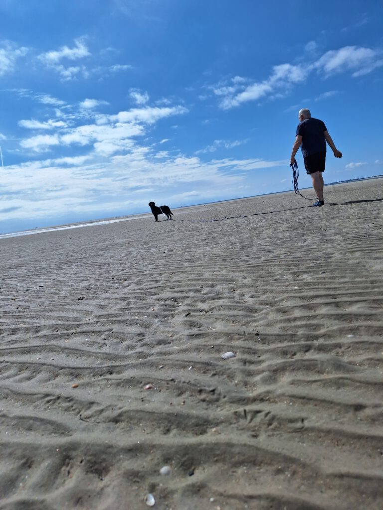 Im Vordergrund ist gerillter Wattboden zu sehen, dahinter ein schwarzer Hund und ein Mann mit kurzer Hose. Er hält eine lange Leine. Blauer Himmel.